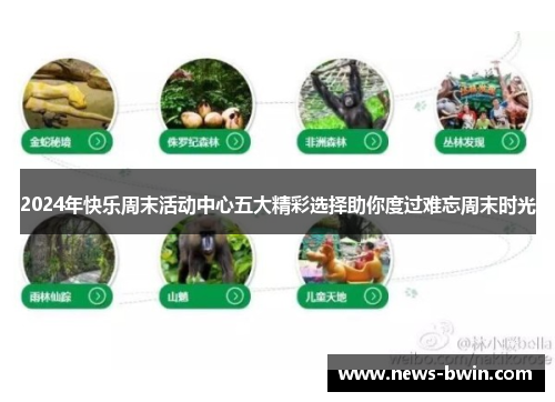 2024年快乐周末活动中心五大精彩选择助你度过难忘周末时光